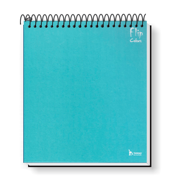 Caderno Universitário Tamoio Flip Neutro Capa Dura 80 Folhas 1 Matéria Verde Claro