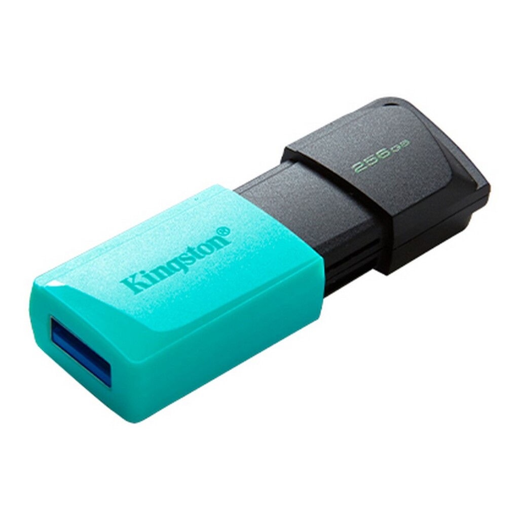 Pen Drive Kingston 256GB USB 3.2 DTXM/256GB