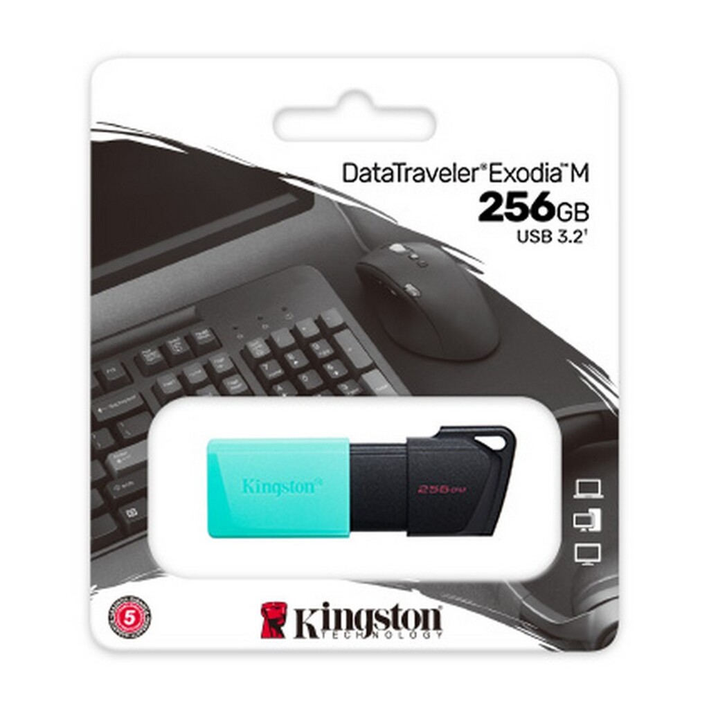 Pen Drive Kingston 256GB USB 3.2 DTXM/256GB
